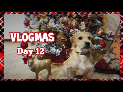 VLOGMAS DAY 12: Ετοιμαστείτε Μαζί Μου ||Βραδινή Έξοδο για φαγητό || Anastasia's Beauty