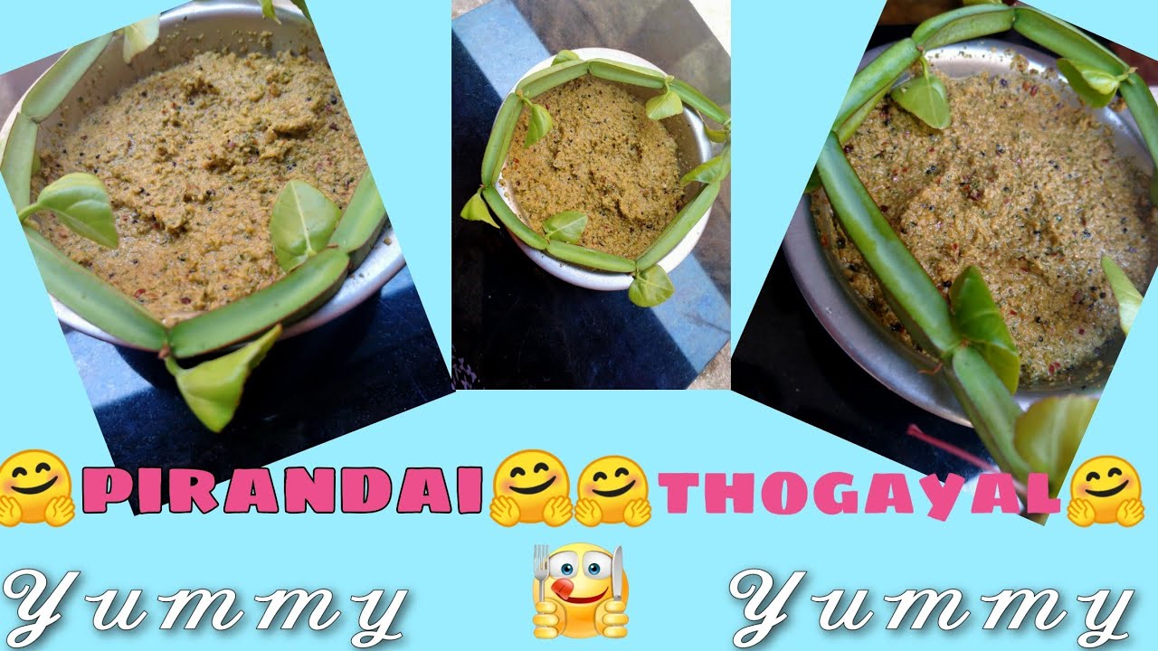 🌱Pirandai🌱 harvest in our garden How to make delicious pirandai