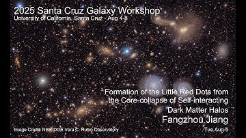 2025 UCSC Galaxy Workshop: Fangzhou Jiang Formation of the Little Red Dots from the Core-collapse...