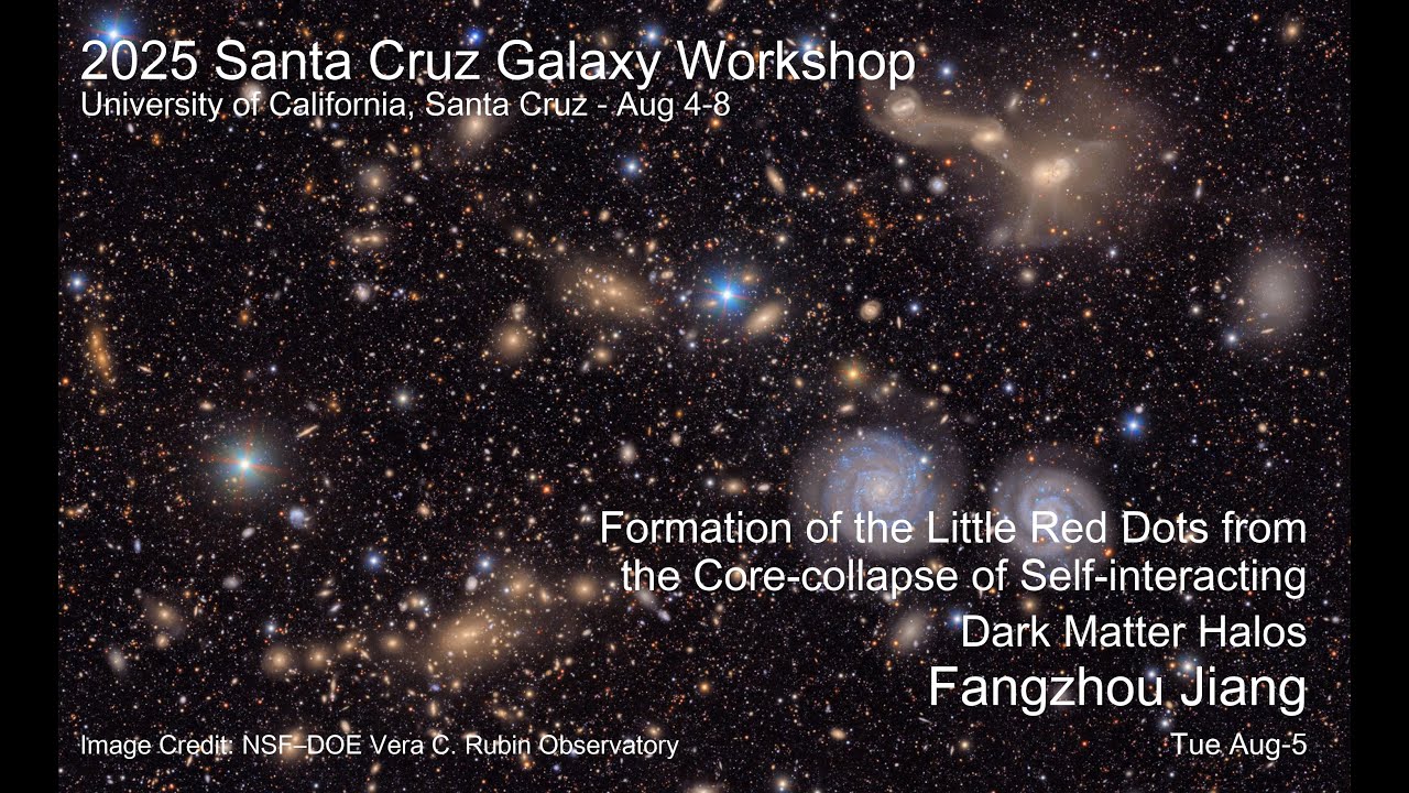 2025 UCSC Galaxy Workshop: Fangzhou Jiang Formation of the