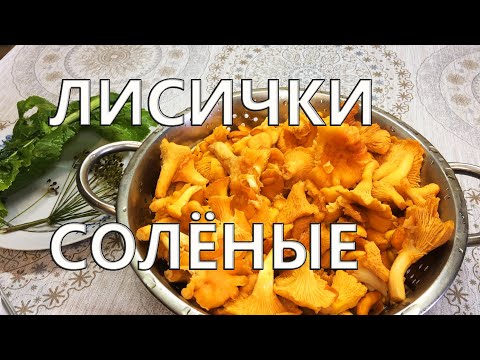 Солёные лисички