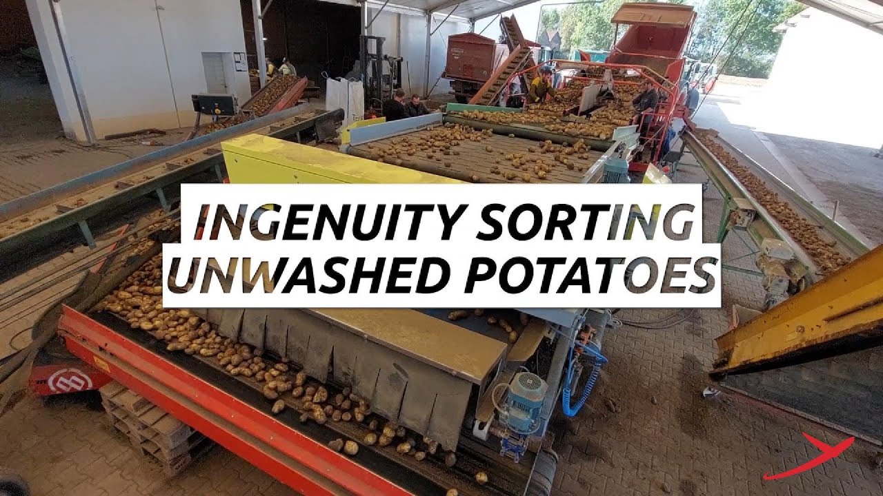 Ingenuity sorting unwashed potatoes | RAYTEC VISION SpA - YouTube