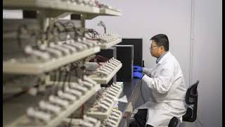 WPI Researchers Develop Cleaner, Scalable Process to Recycle Lithium-Ion Batteries