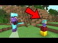 Herobrine spotted on the server... (Minecraft Trolling)