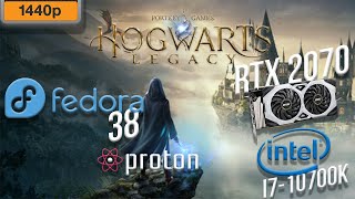 Hogwarts Legacy  144p| Manjaro | Nvidia 2070 Super | i7 10700k | Proton