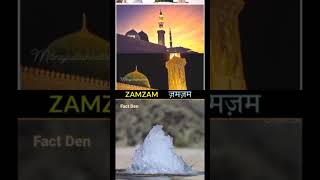 interesting facts about zamzam water _ Zamzam _shortvideo madina naziullah92
