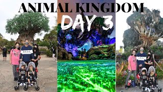Walt Disneys Animal Kingdom Day 3!!! #disney #animalkingdom