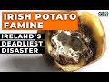 The irish potato famine