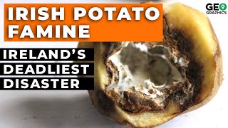 The Irish Potato Famine