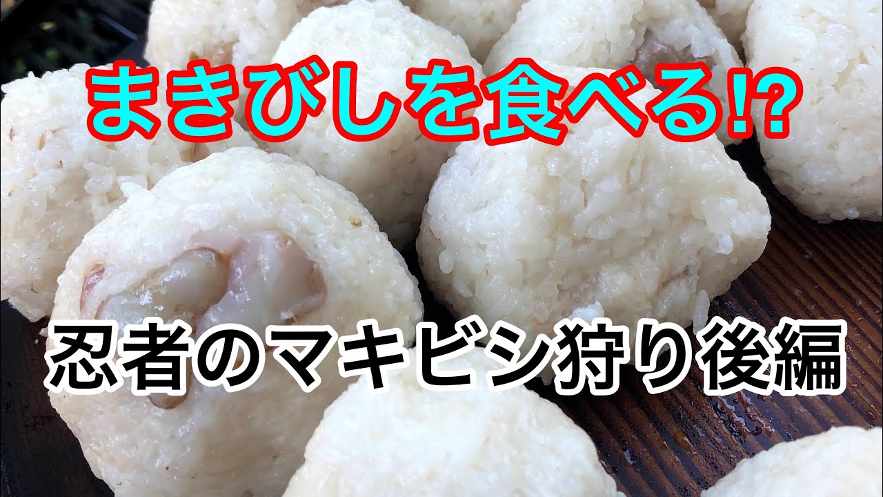 未来様専用まきびし Www Mayfloweracademy Org 未来様専用まきびし Www Mayfloweracademy Org