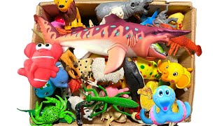 Learn Zoo Animal Names And Sea Animal Names