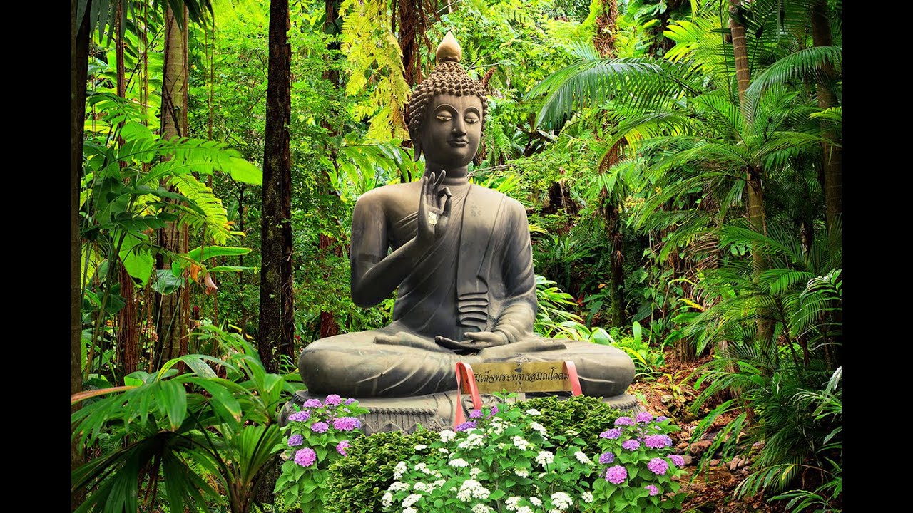 Gautam Buddha Photos APK for Android - Download
