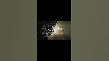 إنك لا تهدي من أحببت ولكن الله يهدي من يشاء  ياسر الدوسري من سورة القصص-الاية 56