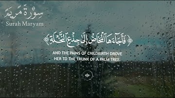 سورة مريم ||حالات واتس قرآن ||القارئ#مشاري_العفاسي