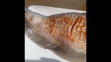 Cá Thác Lác Cườm- Hậu Giang