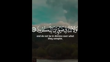 {وَٱصْبِرْ وَمَا صَبْرُكَ إِلَّا بِٱللَّهِ ۚ ...} النحل :الآية( ١٢٧)(١٢٨)