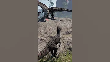 Bonk 