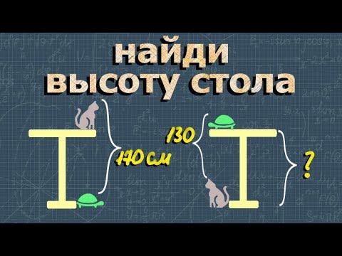 ЛОГИЧЕСКИЕ ЗАДАЧИ найди высоту стола КОШКА и ЧЕРЕПАШКА