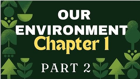 CHAPTER 1 OUR ENVIRONMENT 🌲| CLASS 6 DAV SCIENCE | PART 2 | FULL EXPLANATION OF THIS CHAPTER
