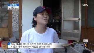 모닝와이드 130902 #9(1)