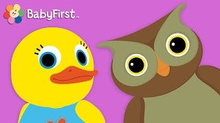 Owl | Learn Animals and Animal Sounds | Tillie Knock Knock | BabyFirst TV
