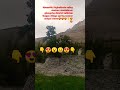 natural beauty of spring season beautiful unique strangerious views of thagas village siachen valley