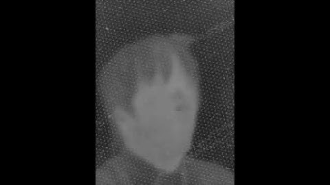 SeekThermal image on Jetson TK1 using libseek