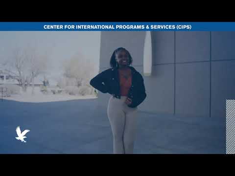 Center for International Programs & Services | Embry-Riddle Aeronautical University (ERAU)