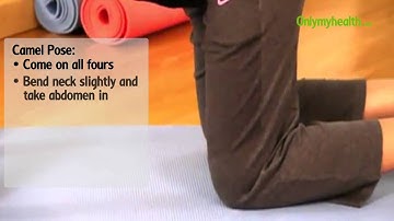 How To Do Cat and Camel Pose - Onlymyhealth.com