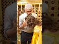 ajith Kumar wife Shalini celebration #ajithkumar #ajithkumarthala #yt #ytshorts