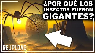 ¿Cómo era la Tierra en la Época de los Insectos Gigantes? Los Secretos más Asombrosos Documental
