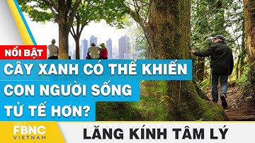 Cây xanh có thể khiến con người sống tử tế hơn? | Lăng kính tâm lý | FBNC