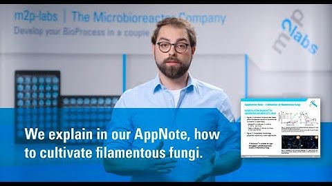 Cultivation of filamentous fungi // Microbioreactor // m2p labs