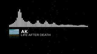 [Downtempo] - AK - Life After Death