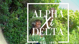 CSUN Alpha Xi Delta Recruitment Video 2019