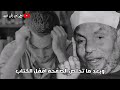كلام الشيخ الشعراوي عن المذاكرة 