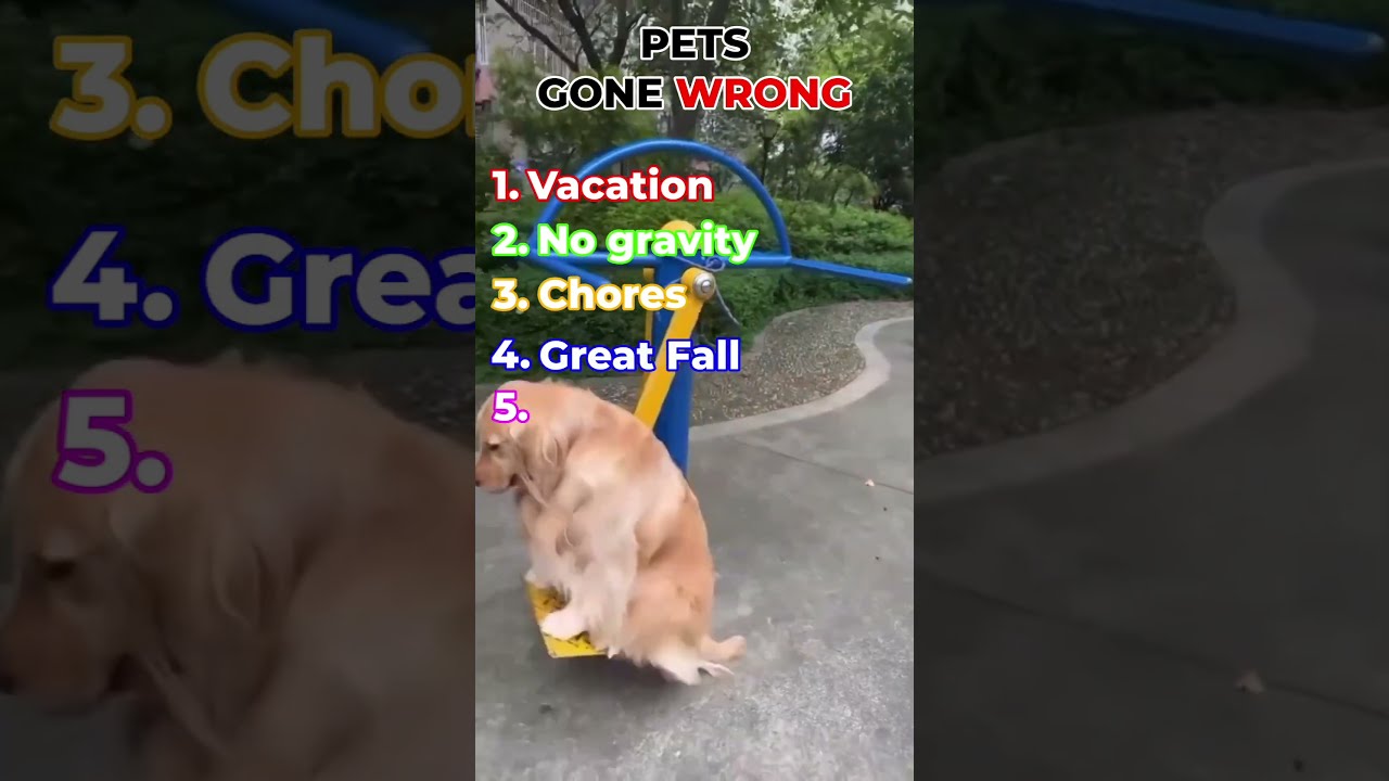 These Pets Will Make Your Day 