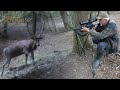 Best hunting story - Red deer stag hunting in Hungary - Rothirschjagd in Ungarn