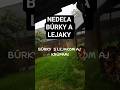 ⛈️ BÚRKY, prívalové dažde a bleskové POVODNE | Načo sa pripraviť? #meteorológia #fakty #storms