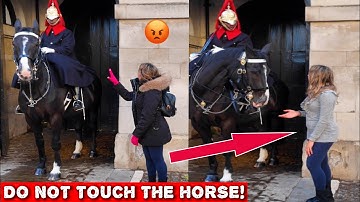 😳YOU Won’t Believe This: Tourist Told NOT to Touch the Horse… But She Still Returned to TRY!😡