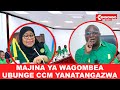 LIVEрџ ґ CCM WANATANGAZA MAJINA YA WAGOMBEA MAAMUZI YA KAMATI KUU LIVEрџ ґ CCM WANATANGAZA MAJINA YA WAGOMBEA MAAMUZI YA KAMATI KUU