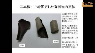 塩沢昌「水田における土壌から稲への放射性セシウム移行のメカニズムについて」ー第2回放射能の農畜水産物等への影響についての研究報告会