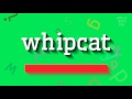Comment prononcer whipcat  whipcat how to pronounce whipcat whipcat