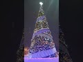 Ёлочка 2023, Октябрьский, Башкортостан (Christmas tree 2023, Octyabrsky, Bashkortostan)