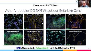Mesogen Presentation for From Bench to Startup Symposium
