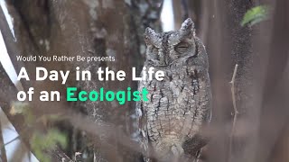 A Day in the Life of an Ecologist | Would You Rather Be