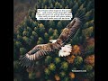 Isaiah 40:31