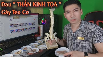 Bài thuốc điều trị đau thần kinh tọa hiệu quả | Doctor Hải