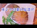 赤シソの塩漬けの作り方