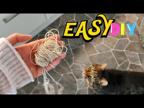 Have You Tried This DIY Meat String Cat Toy❓ - YouTube